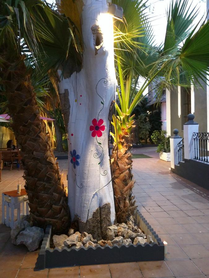 Nwt Paradise Urban Hostel Alicante Exteriör bild
