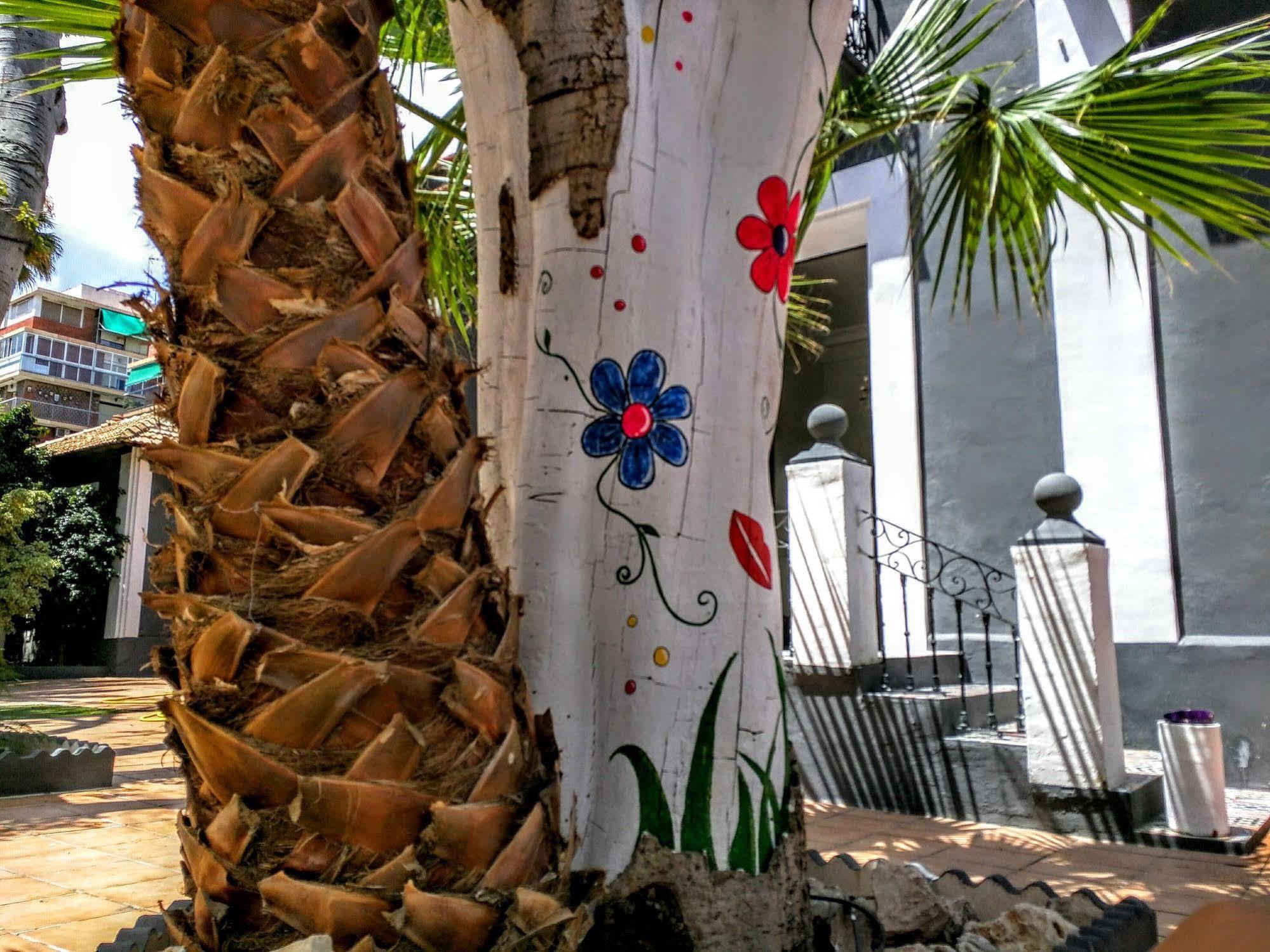 Nwt Paradise Urban Hostel Alicante Exteriör bild