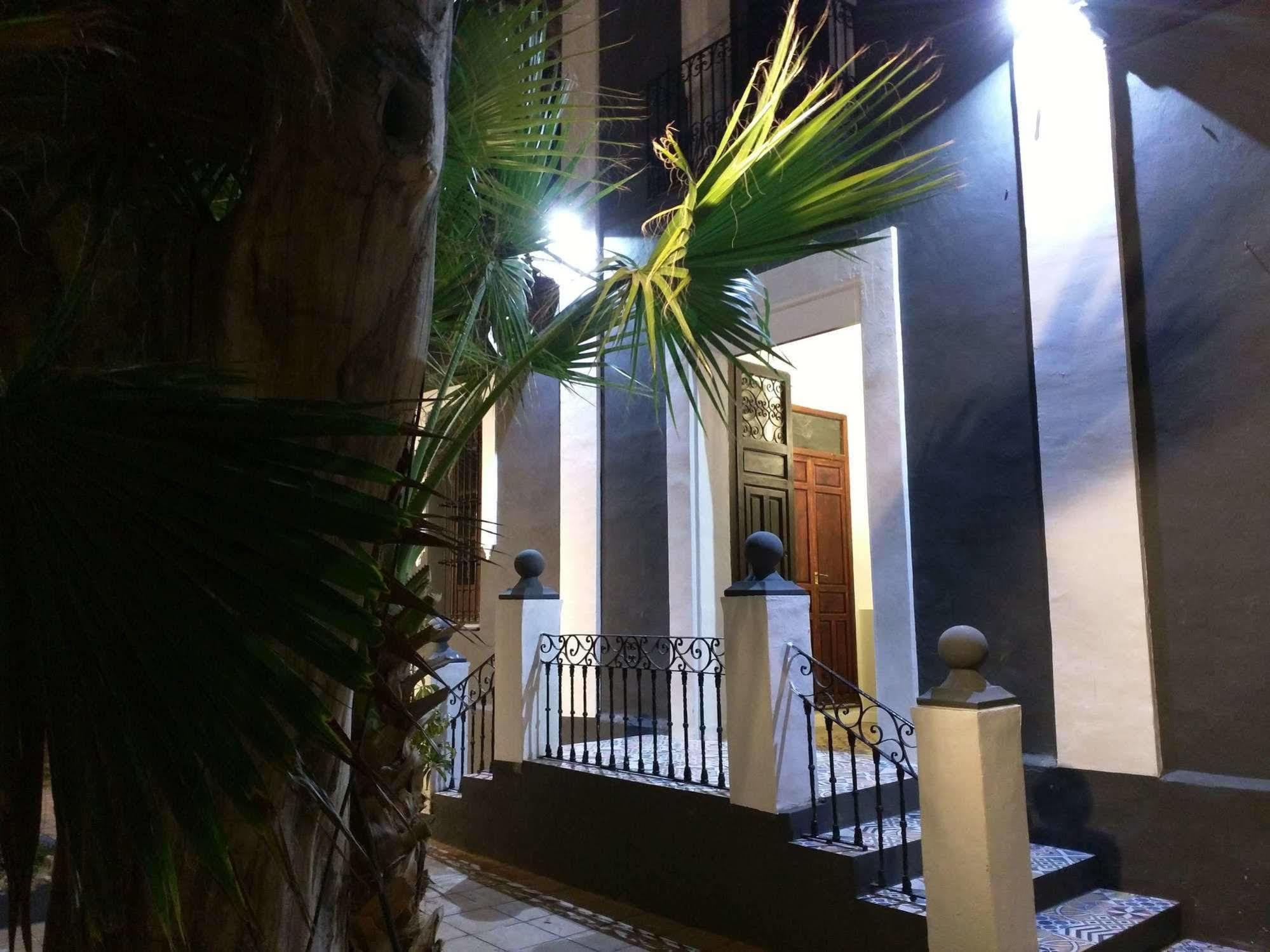 Nwt Paradise Urban Hostel Alicante Exteriör bild